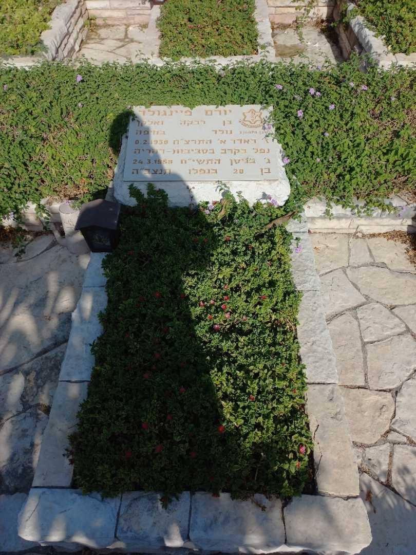קברו של יורם פיינגולד