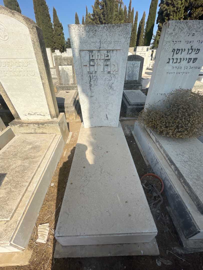קברו של מנחם גרודר