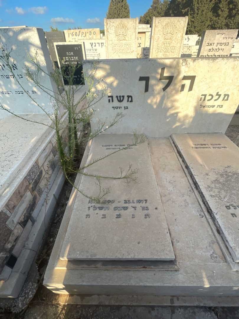 קברו של משה הלר. תמונה 2