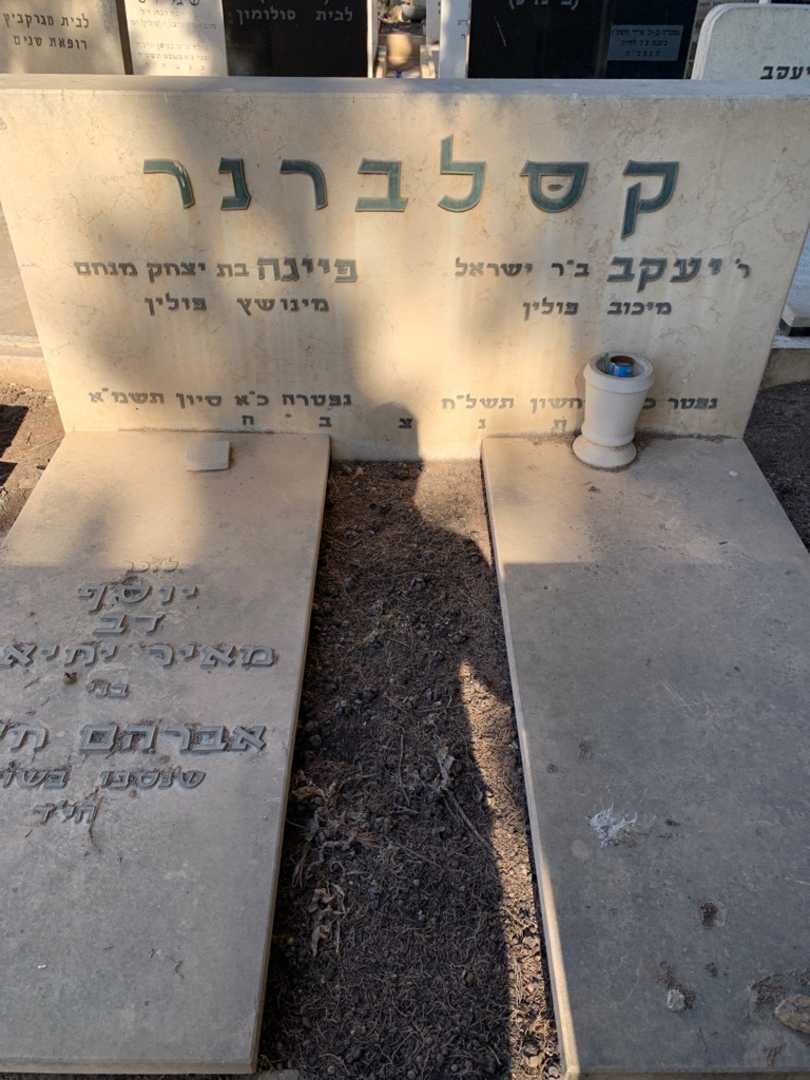קברו של מאיר יחיאל. תמונה 1