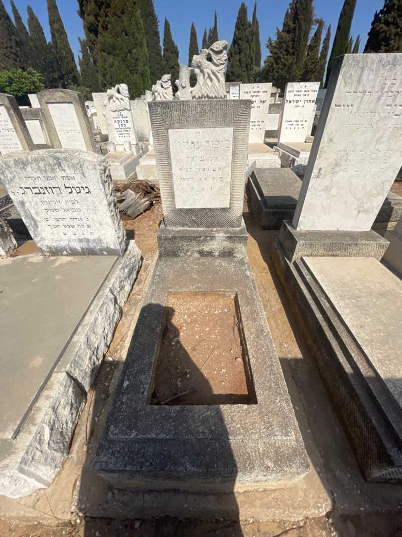 קברו של סופיה נתנזון