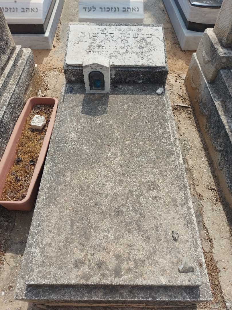 קברו של שושנה דרשוב