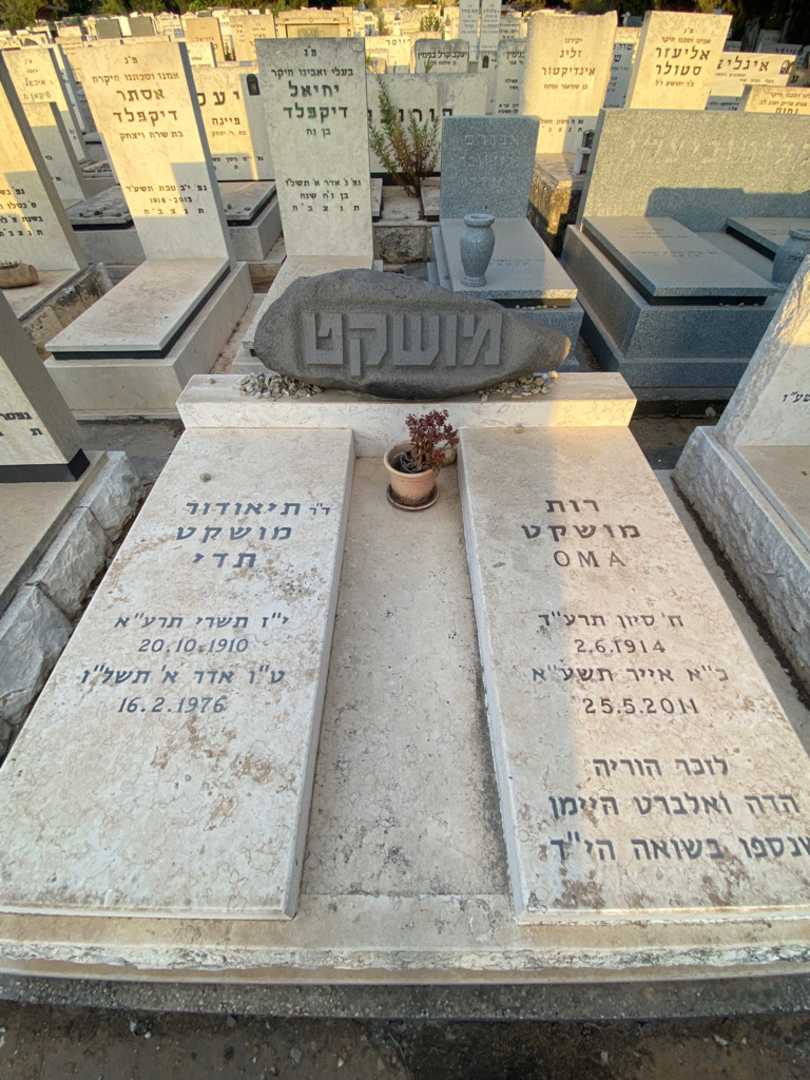 קברו של תיאודור "תדי" מושקט. תמונה 2