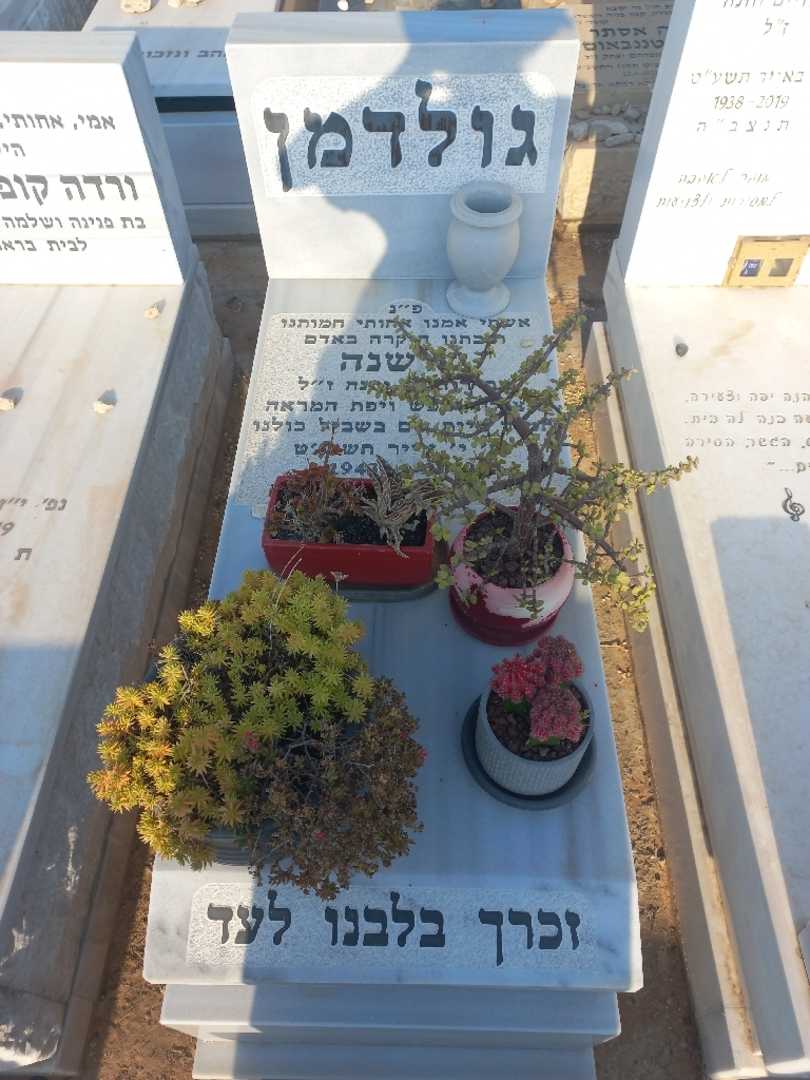 קברו של שושנה גולדמן. תמונה 1
