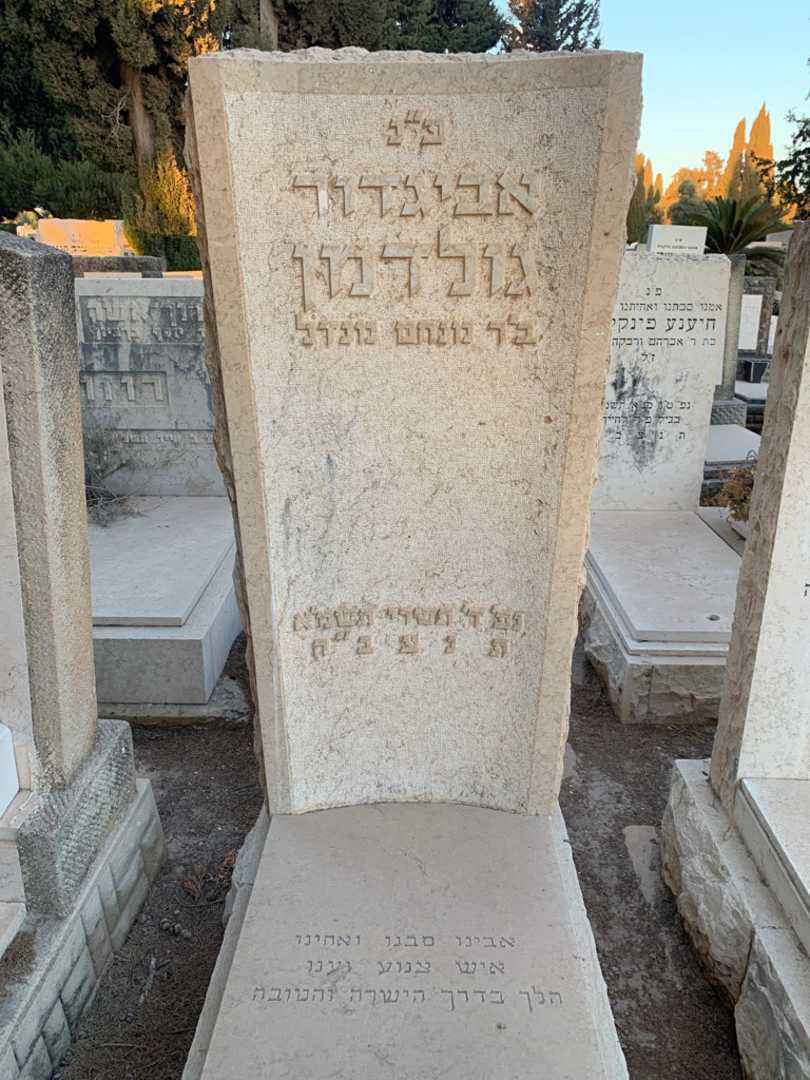 קברו של אביגדור גולדמן