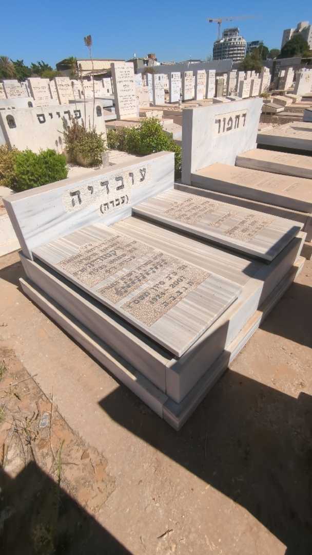 קברו של מאיר "עזרא גורג'י עבדה" עובדיה. תמונה 2