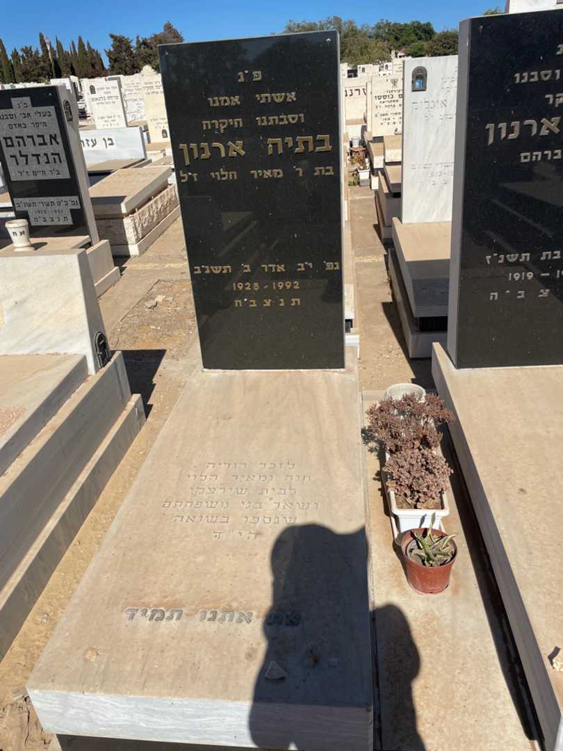 קברו של בתיה ארנון. תמונה 2