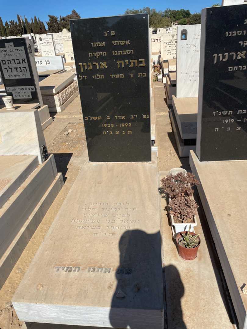 קברו של חוה הלוי. תמונה 2