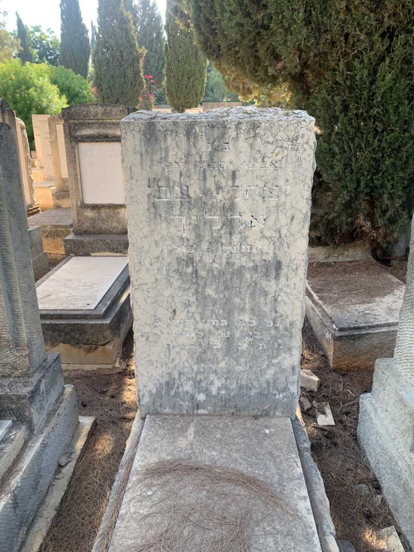 קברו של יצחק-צבי ארליך