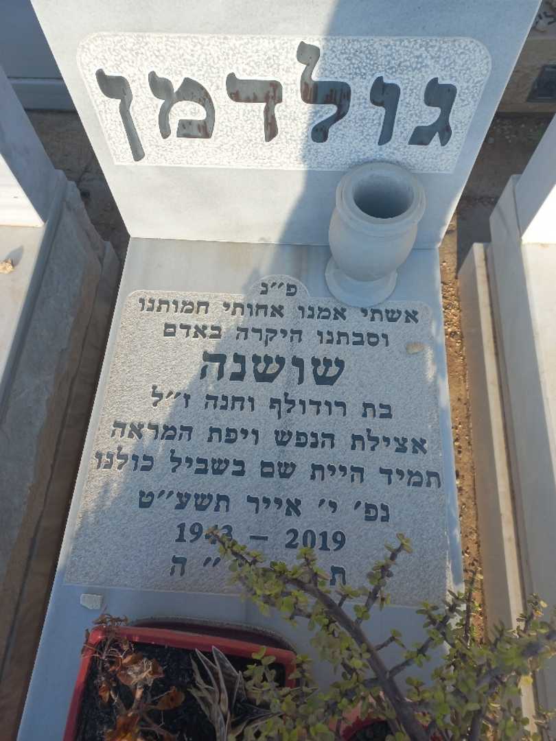 קברו של שושנה גולדמן. תמונה 2