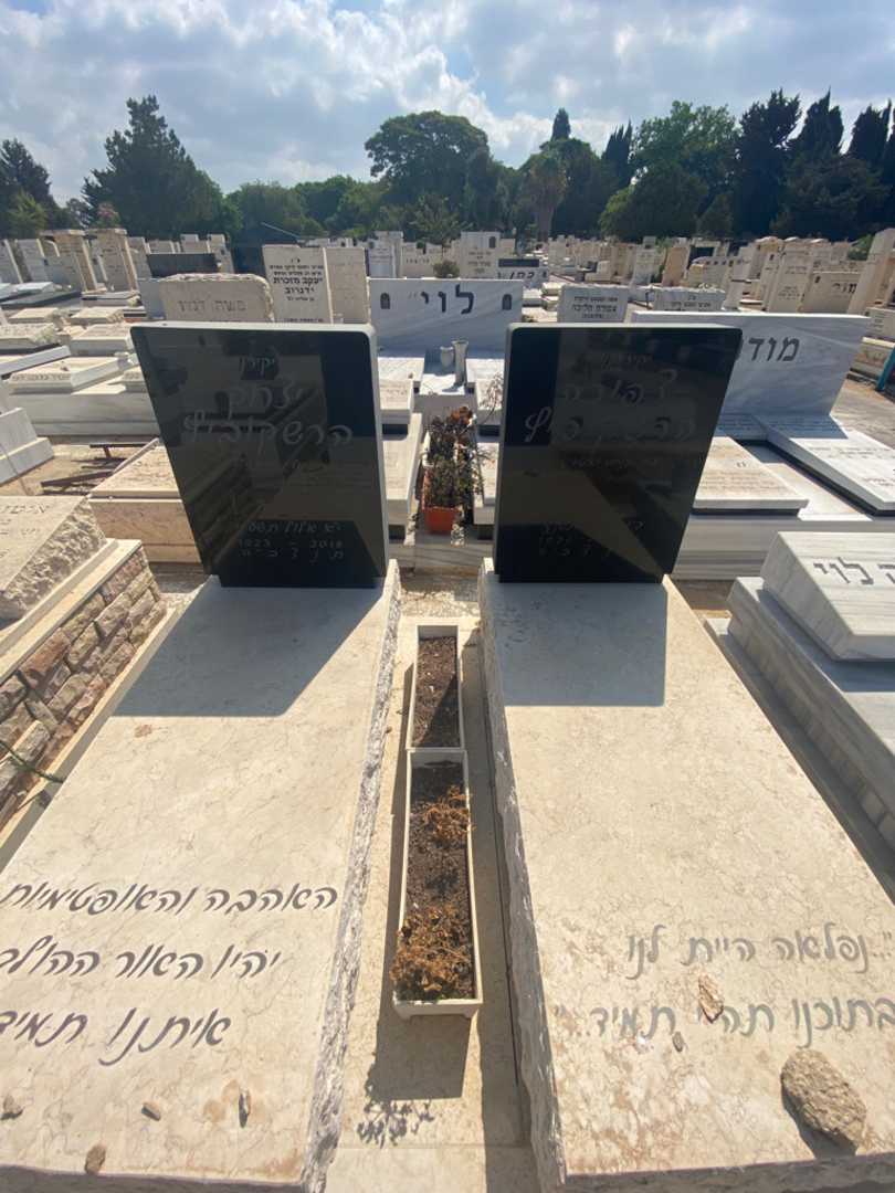 קברו של יצחק הרשקוביץ. תמונה 1
