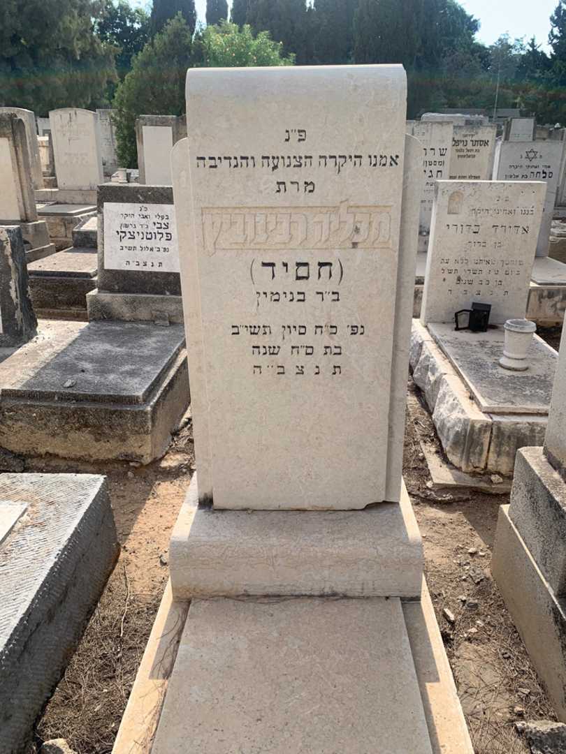 קברו של מכליה "חסיד" רבינוביץ