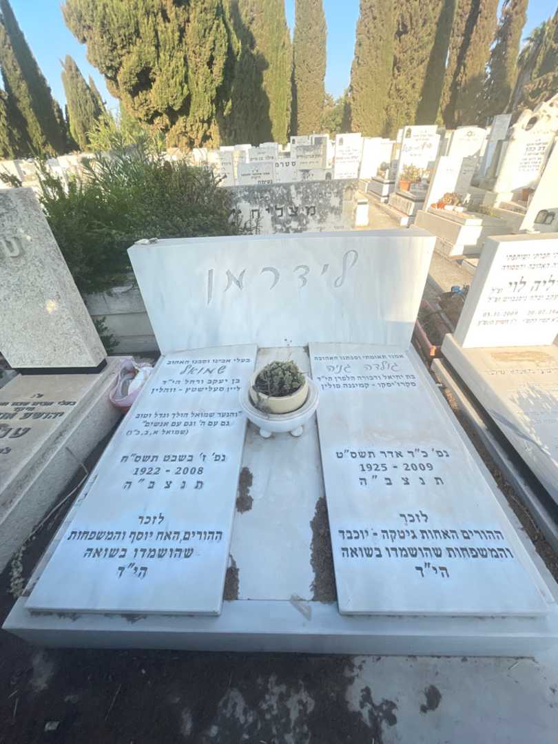 קברו של גולדה גניה לידרמן. תמונה 1