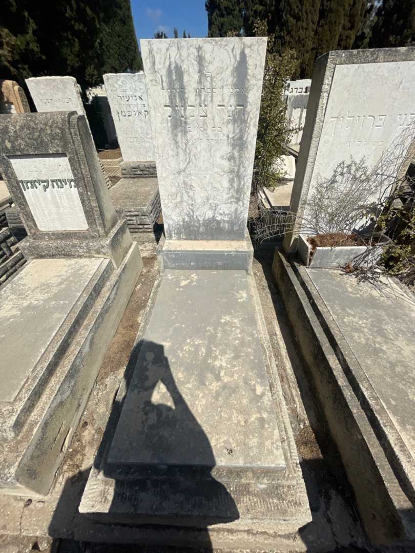 קברו של חנה צלניק