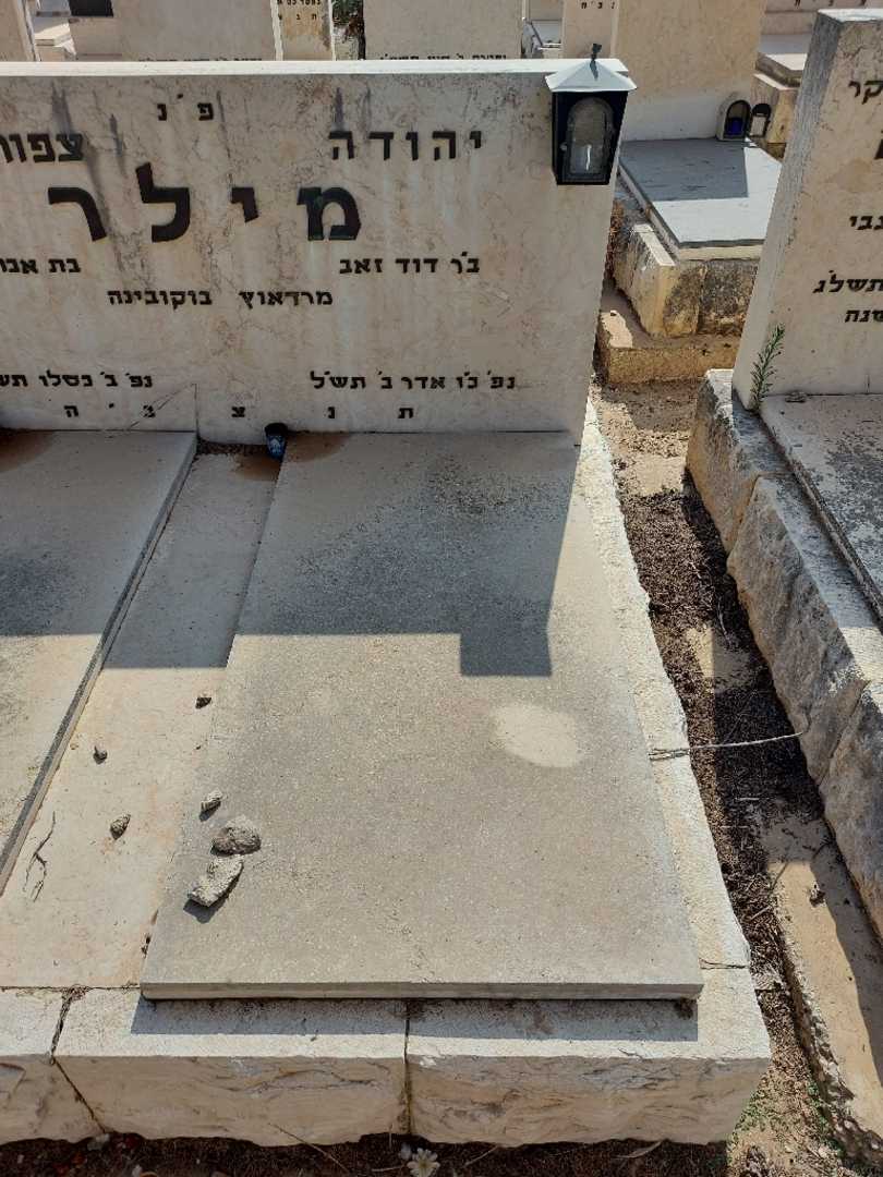 קברו של יהודה מילר. תמונה 1