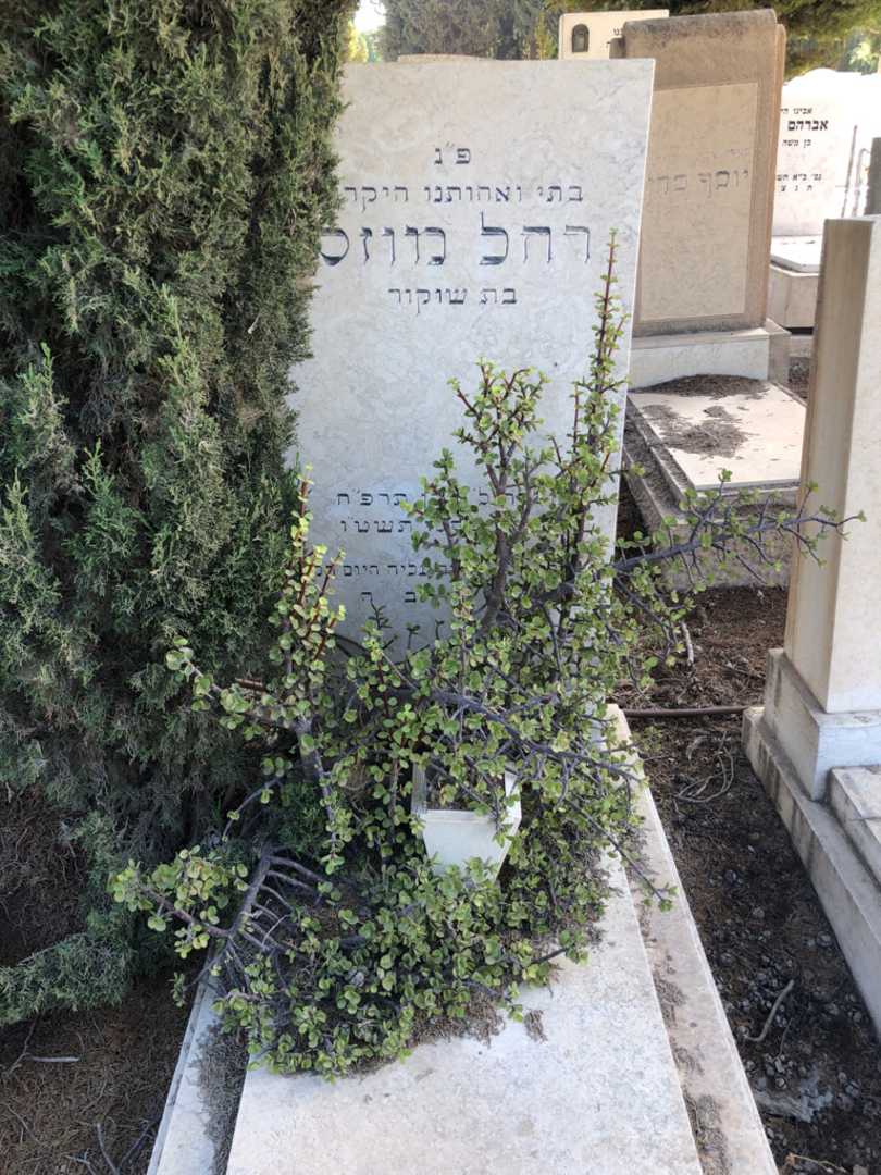 קברו של רחל מוזס. תמונה 1