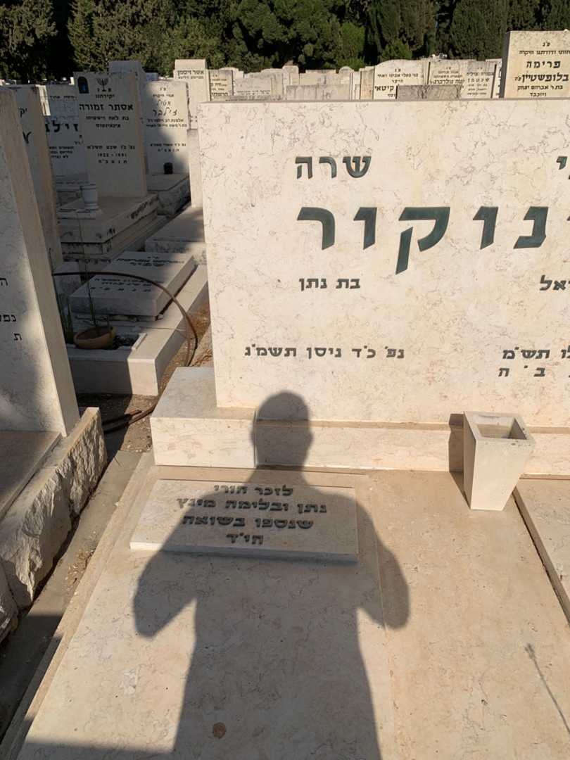 קברו של שרה וינוקור. תמונה 2