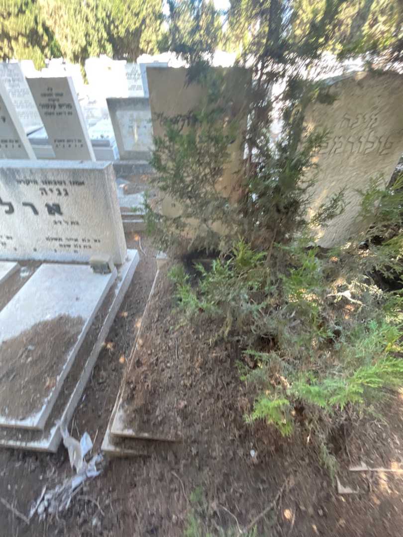 קברו של חנה שטרנפלד. תמונה 1