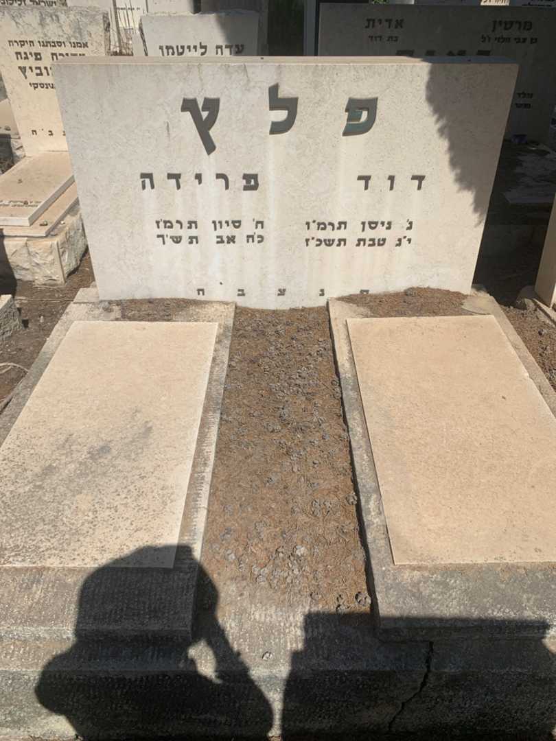 קברו של פרידה פלץ. תמונה 2