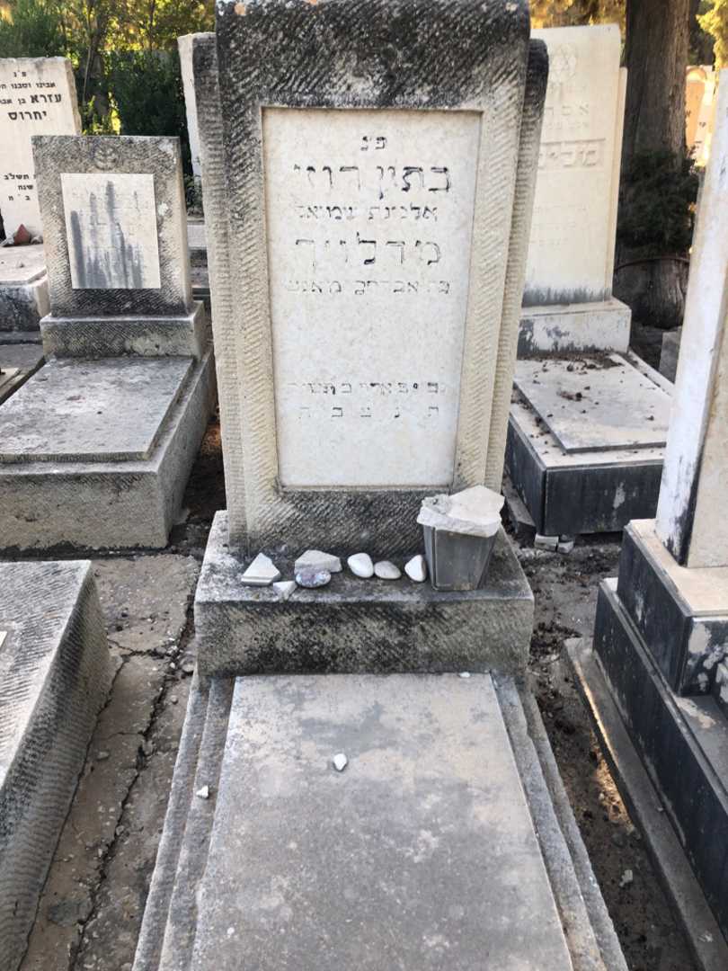 קברו של כתון רוזי מדלויך