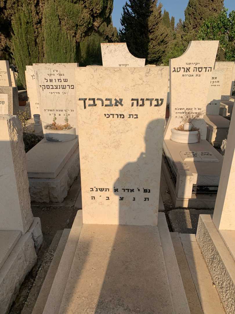 קברו של עדנה אברבך