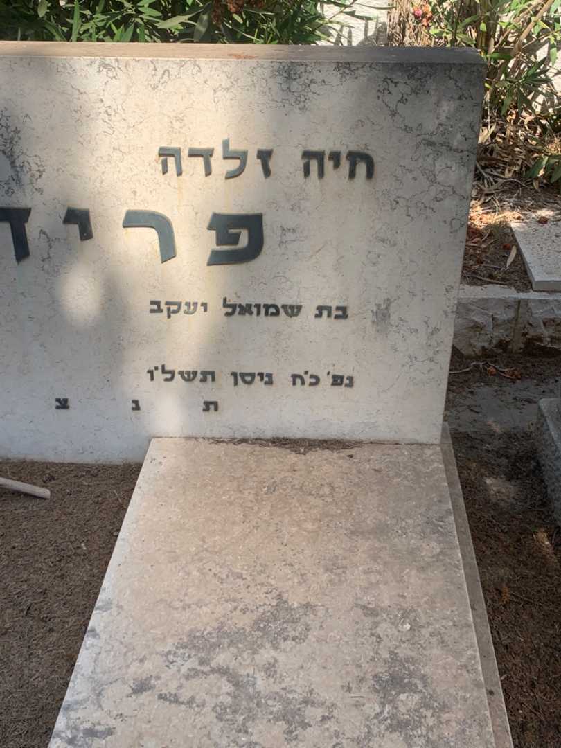 קברו של חיה זלדה פרידמן. תמונה 1