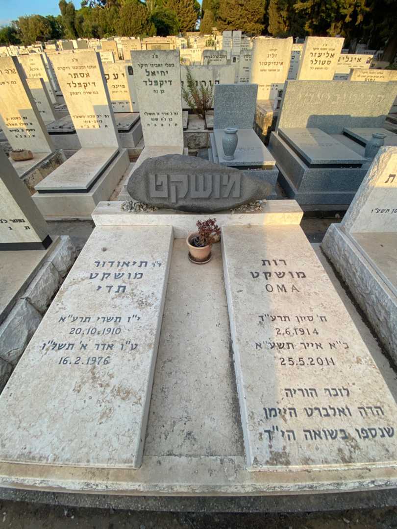 קברו של הדה היימן. תמונה 1
