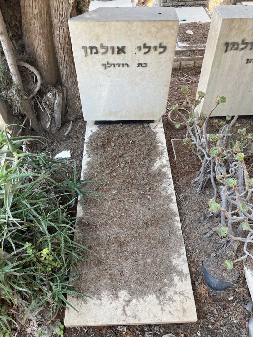 קברו של לילי אולמן. תמונה 1