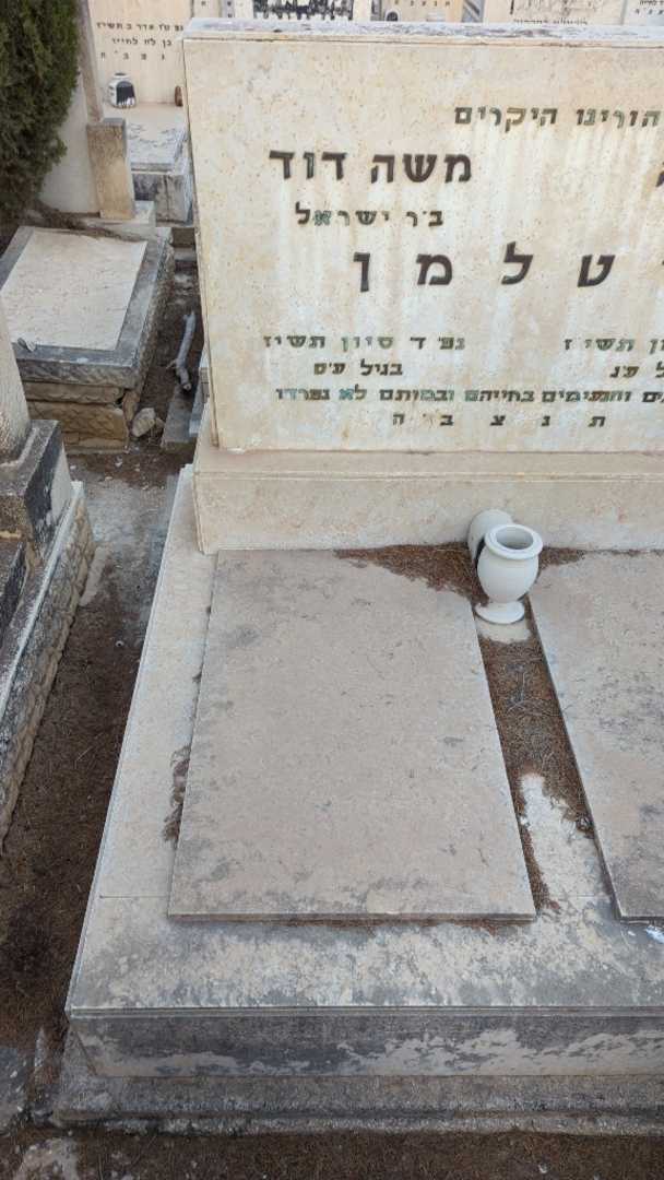 קברו של משה דוד שטלמן. תמונה 1
