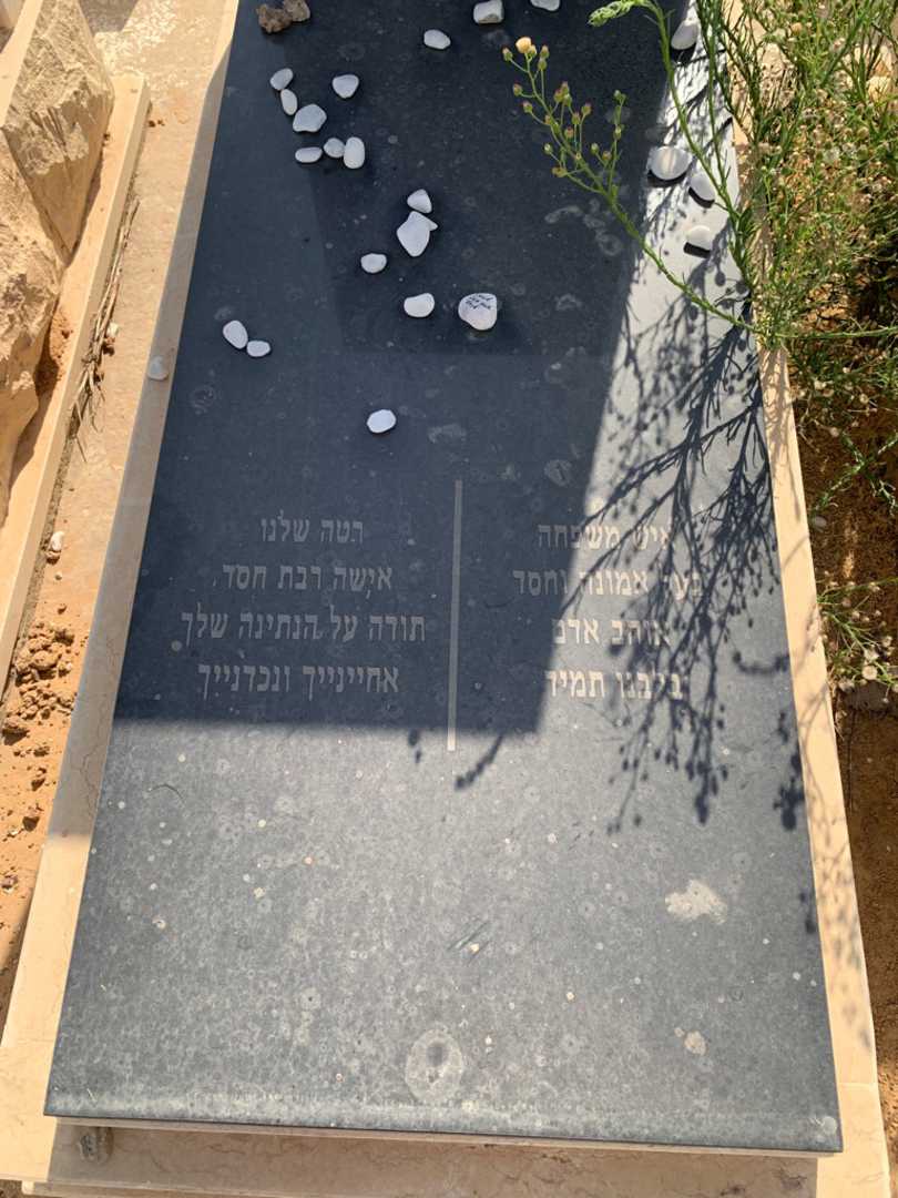 קברו של ברוך פלהנדלר. תמונה 2