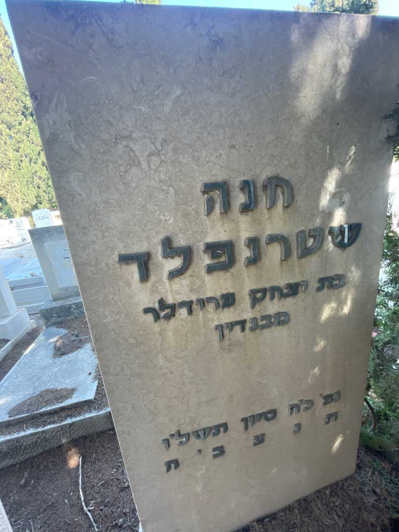קברו של חנה שטרנפלד. תמונה 2
