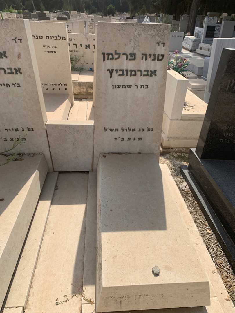 קברו של טניה פרלמן אברמוביץ. תמונה 1