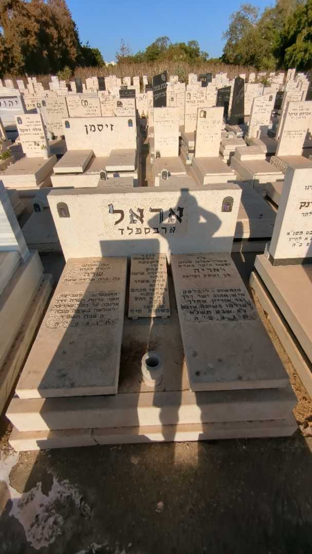 קברו של אריה אראל ארבספלד. תמונה 1