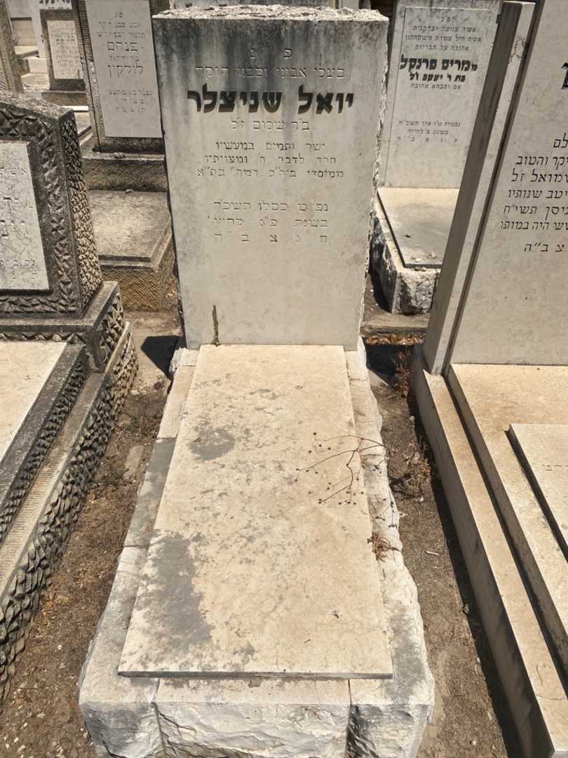 קברו של יואל שניצלר