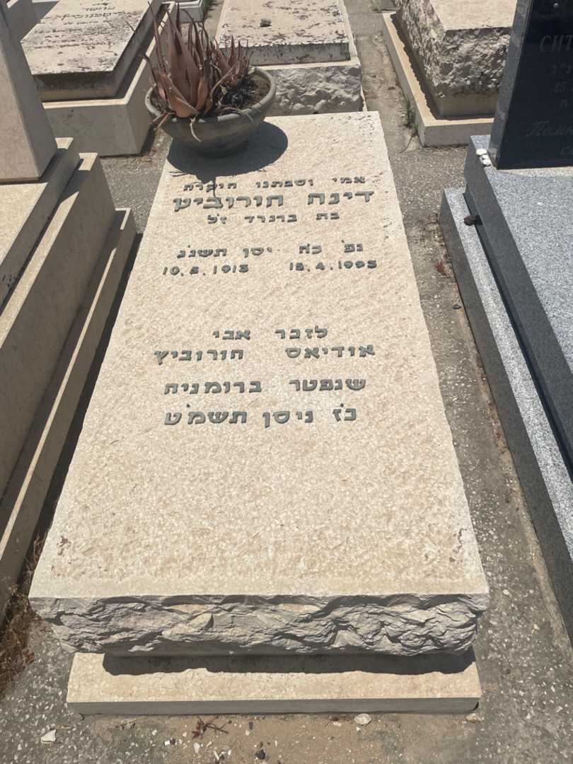 קברו של דינה הורוביץ. תמונה 1