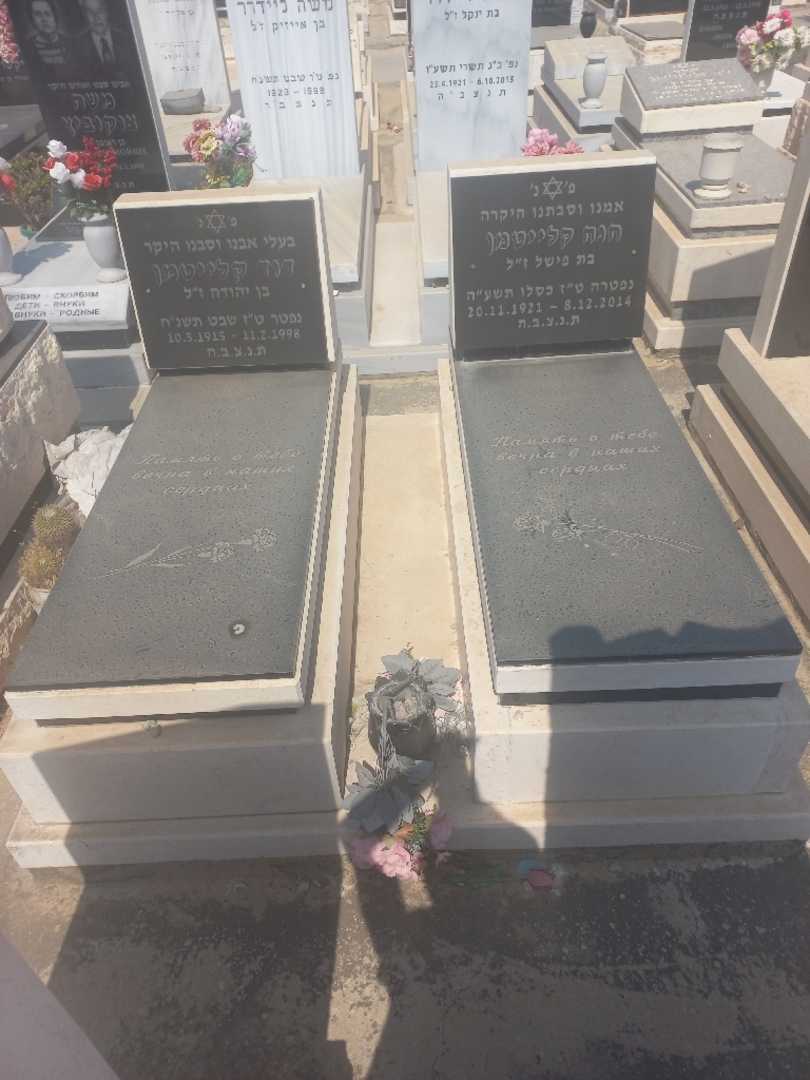 קברו של דוד קלייטמן. תמונה 1
