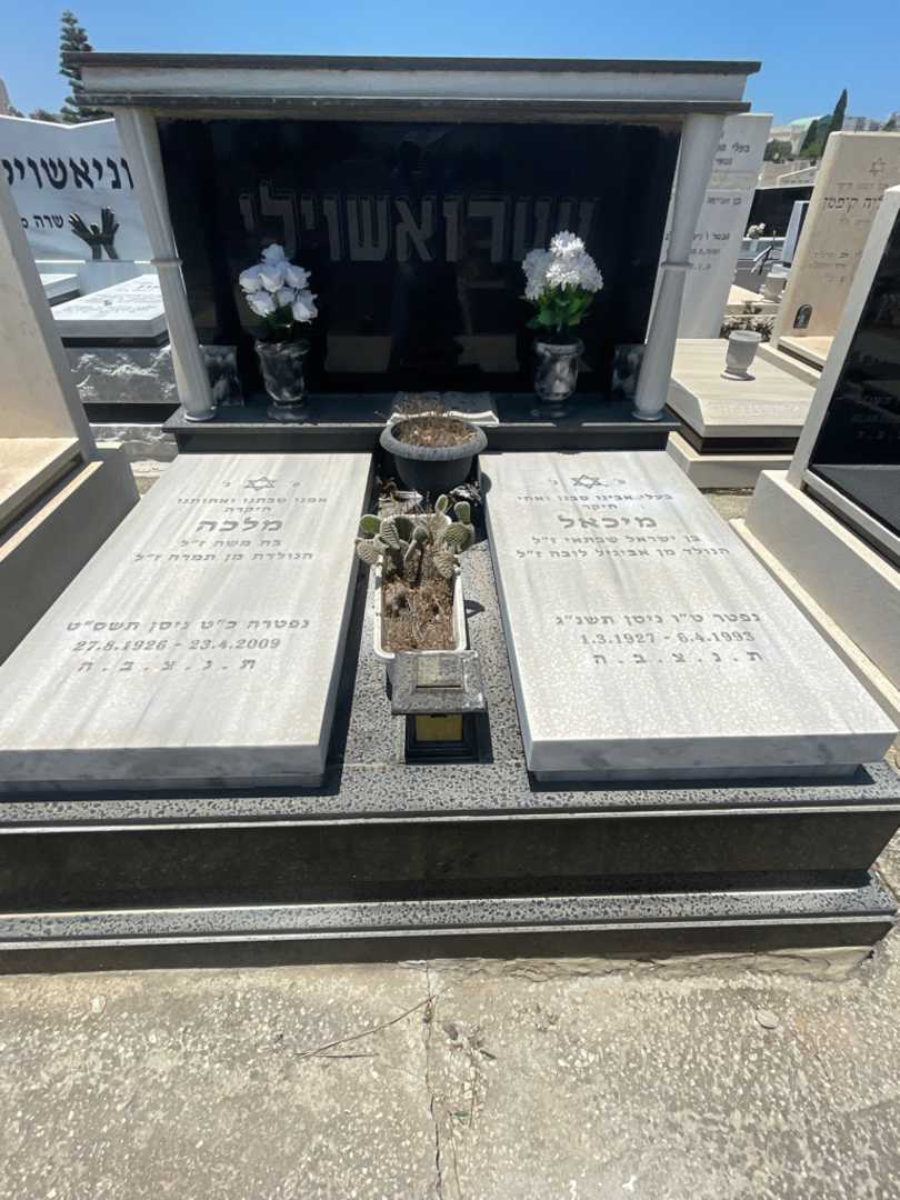 קברו של מיכאל טטרואשוילי. תמונה 1