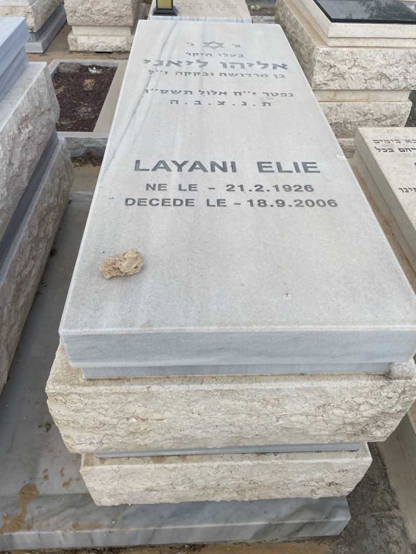 קברו של אליהו ליאני. תמונה 2