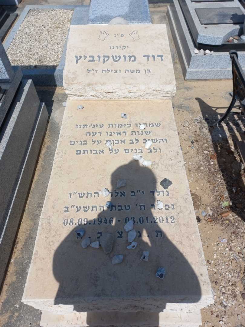 קברו של דוד מושקוביץ. תמונה 1