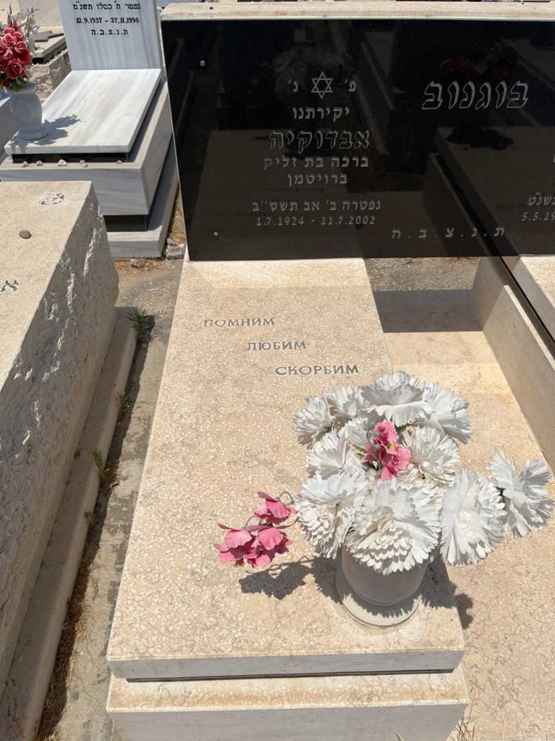 קברו של אבדוקיה בוגנוב. תמונה 1