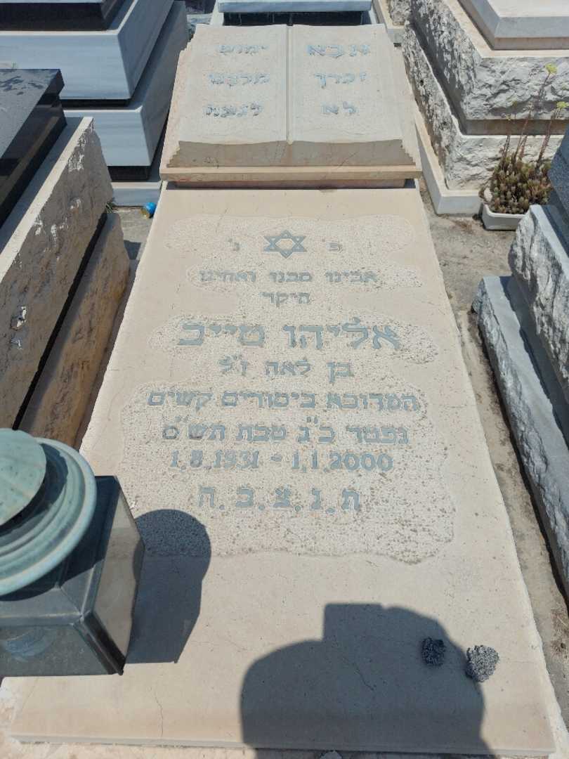 קברו של אלי טייב. תמונה 1