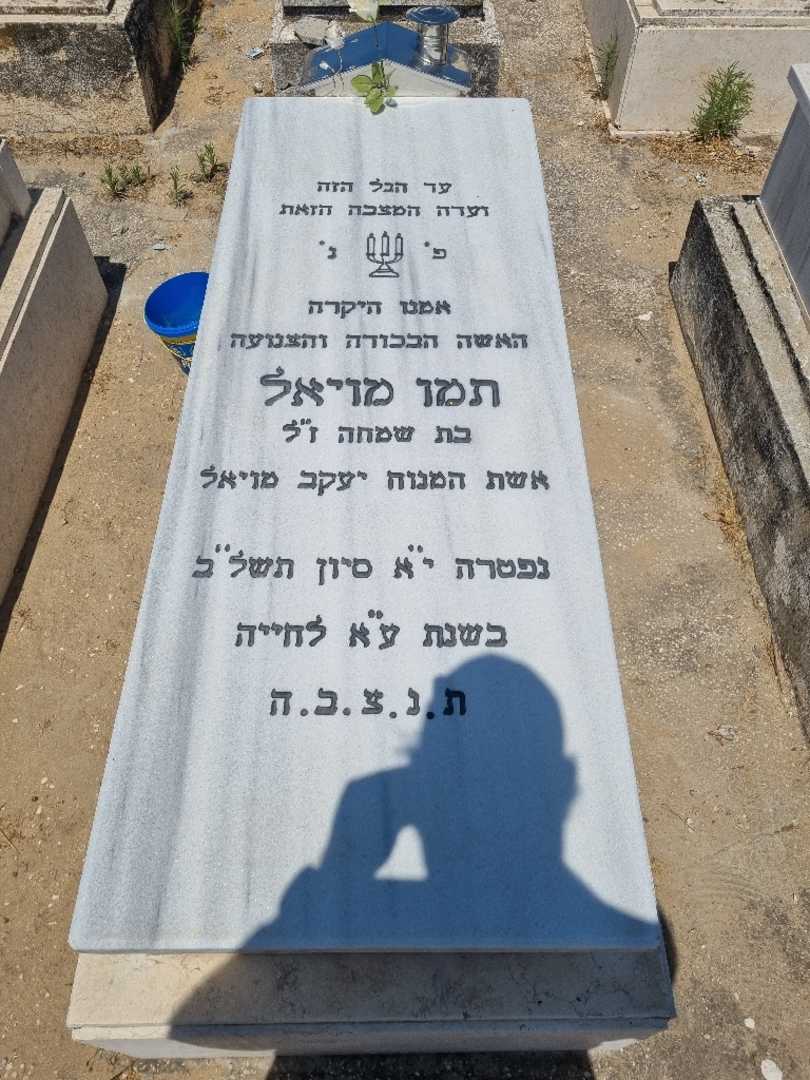 קברו של יעקב מויאל. תמונה 1