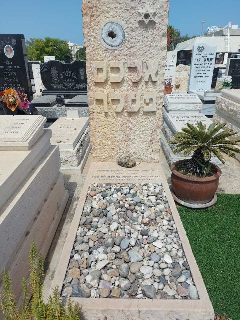 קברו של אלכס פסלר. תמונה 1