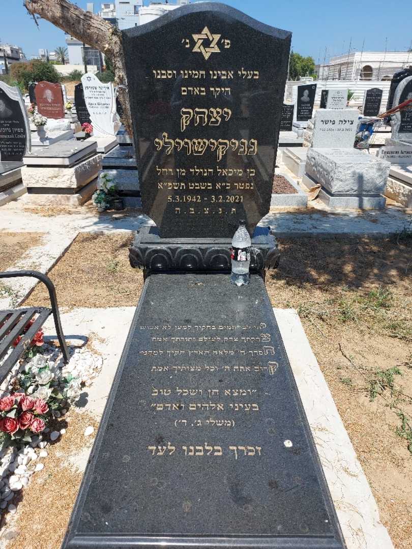קברו של יצחק נניקישוילי. תמונה 1