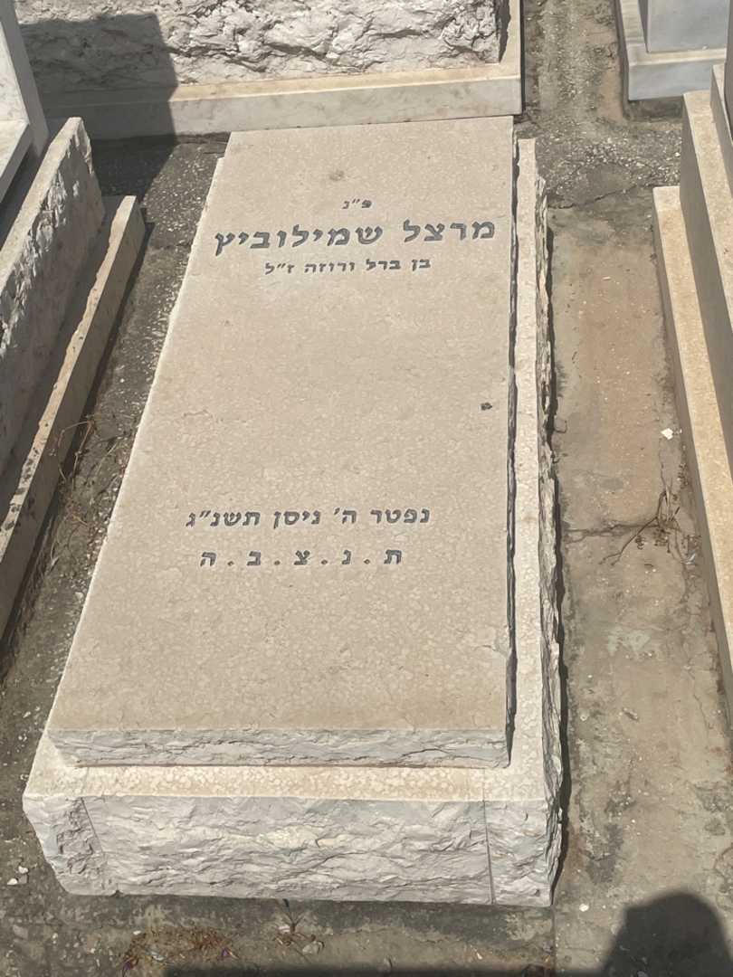 קברו של מרצל שמילוביץ. תמונה 1