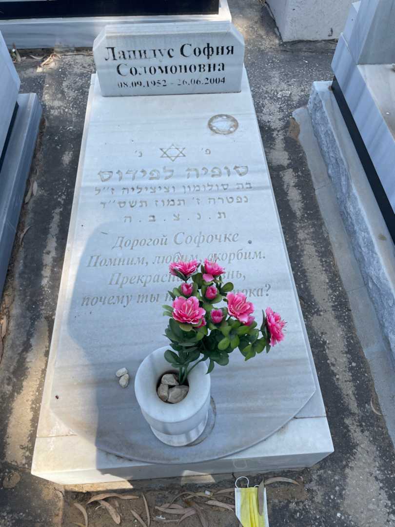 קברו של סופיה לפידוס. תמונה 1