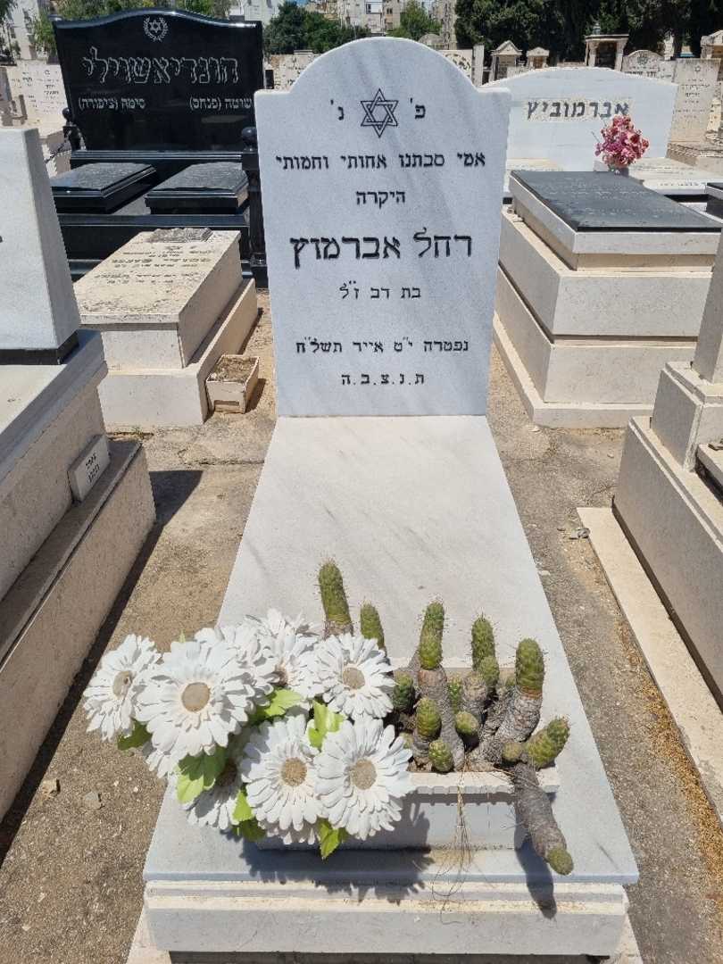 קברו של רחל אברמוץ. תמונה 1