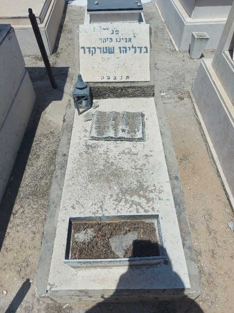 קברו של גדליהו שטרקדר. תמונה 1