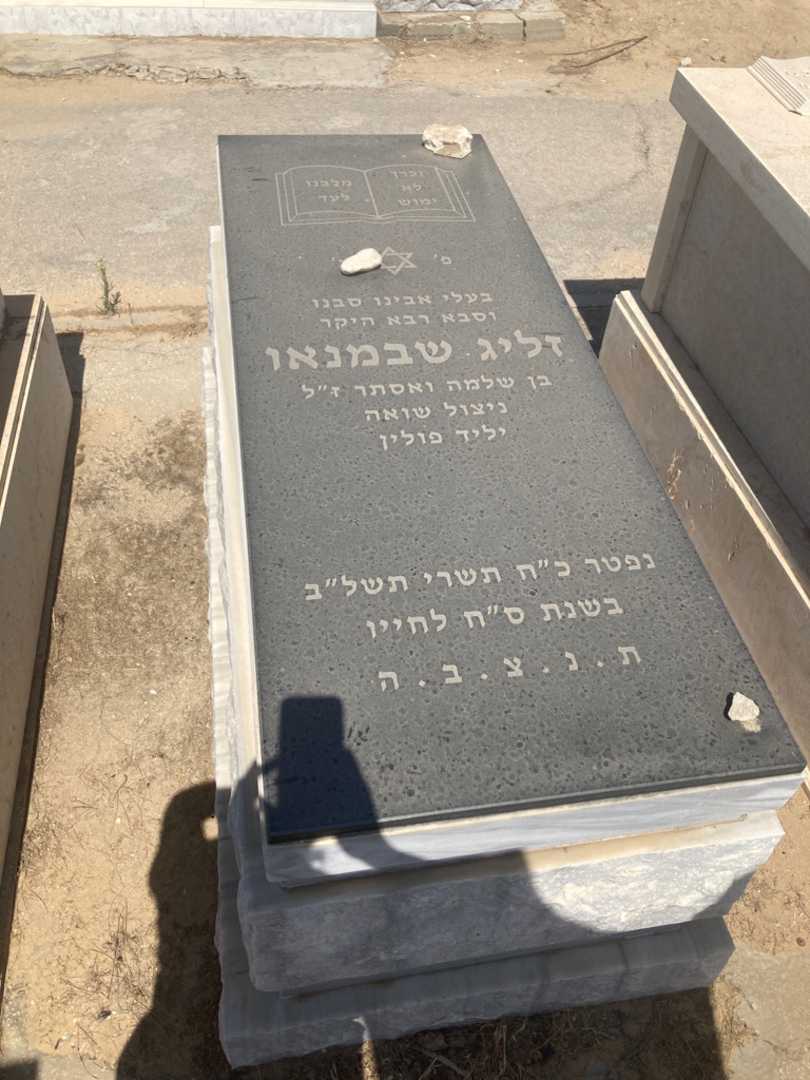 קברו של זליג שבמנאו. תמונה 1