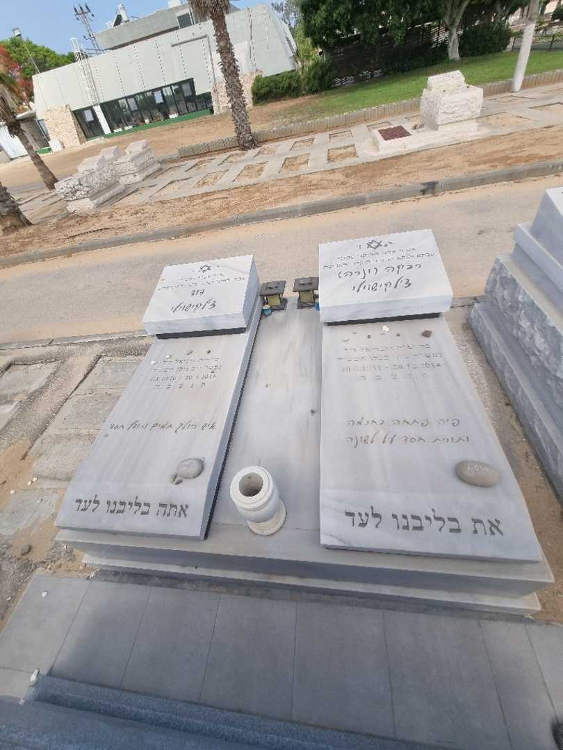 קברו של רבקה "ונרה" צלקישוילי. תמונה 2